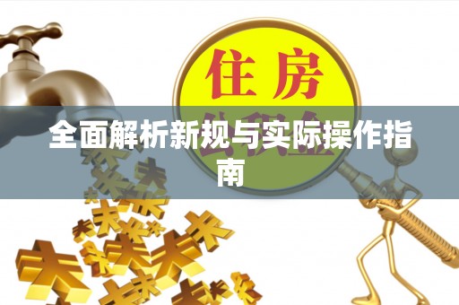 帮办全面解析新规与实际操作指南