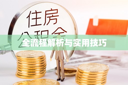 帮办全流程解析与实用技巧