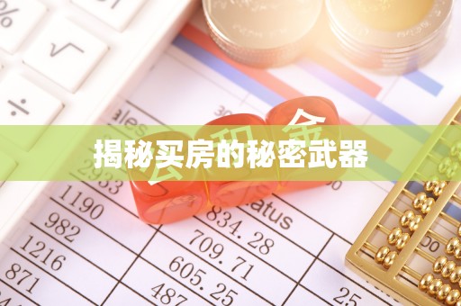 帮办揭秘买房的秘密武器