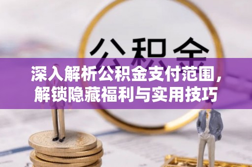 帮办深入解析公积金支付范围，解锁隐藏福利与实用技巧