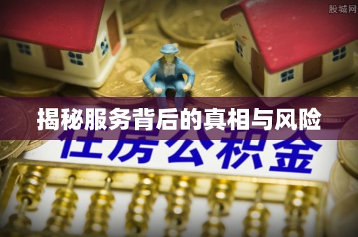 帮办揭秘服务背后的真相与风险