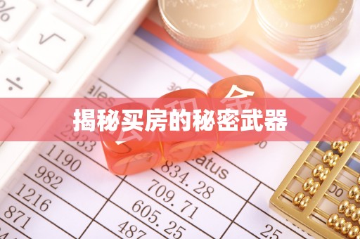 帮办揭秘买房的秘密武器