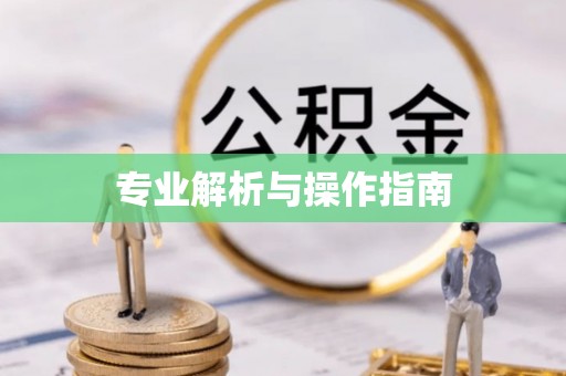帮办专业解析与操作指南