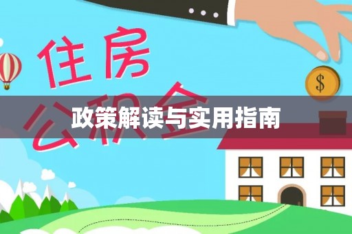 帮办政策解读与实用指南
