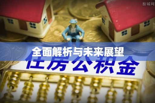 帮办全面解析与未来展望