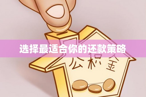 帮办选择最适合你的还款策略