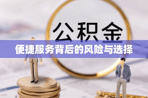 帮办便捷服务背后的风险与选择