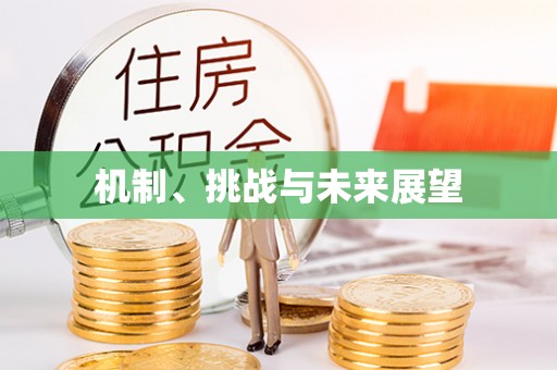 帮办机制、挑战与未来展望
